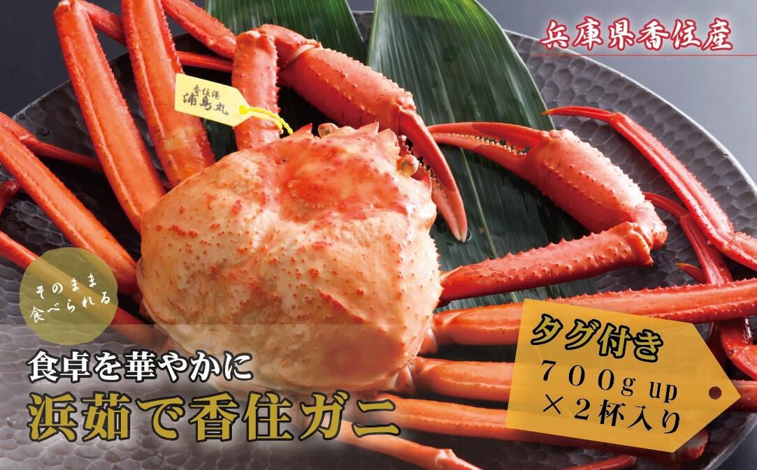 人気 おすすめ カニ 香住ガニ タグ付き 700g Up 2杯入り 浜茹で ボイル 送料無料 蟹 海鮮 かに 紅ズワイガニ 脚 不揃い 蟹爪 蟹しゃぶ ギフト 鍋 かにみそ ゆで蟹 お取り寄せグルメ 香住蟹 ポッキリ 香住カニ 19 13 Fucoa Cl