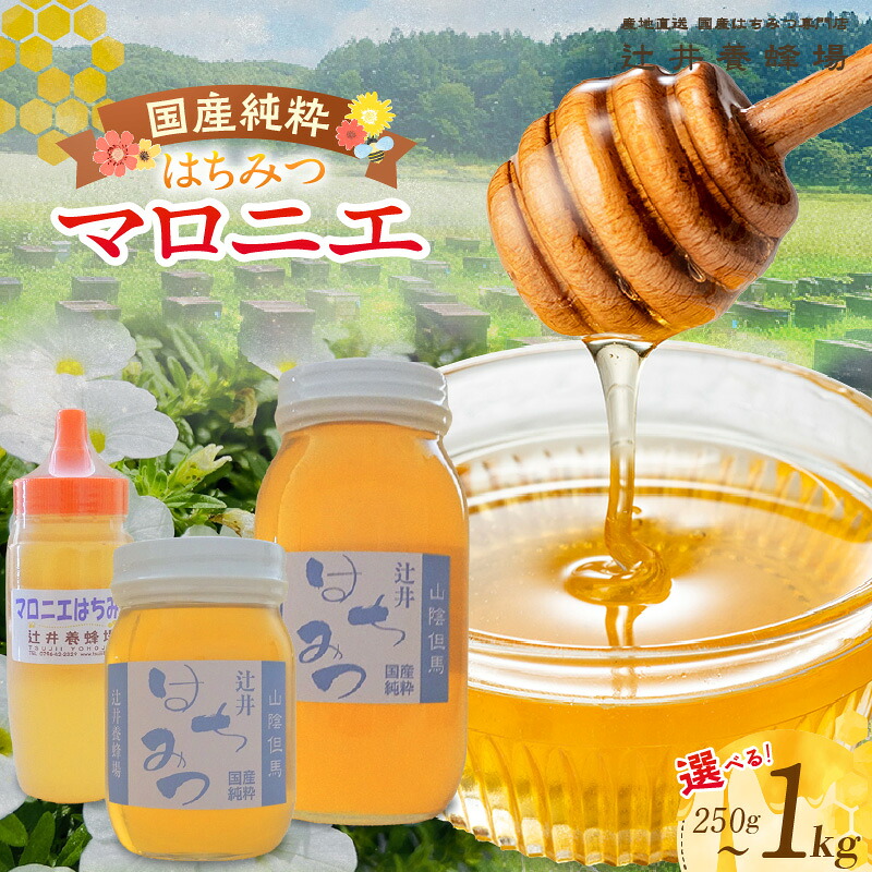 【ふるさと納税】国産純粋 マロニエはちみつ【選べる内容量 250g~1kg】 国産 純粋 はちみつ ハチミツ 蜂蜜 マロニエ 栃の木 辻井養蜂場 国産純粋はちみつ 日本産 健康食品 みつばち 兵庫県 香美町 返礼品 81-01 81-04 81-07 送料無料|兵庫県香美町