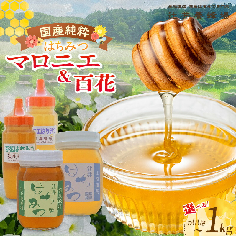 辻さん専用蜂蜜　２・５キロ 一本　送料込み 辻さん専用蜂蜜 2・5キロ 一本 送料込み 【公式通販】