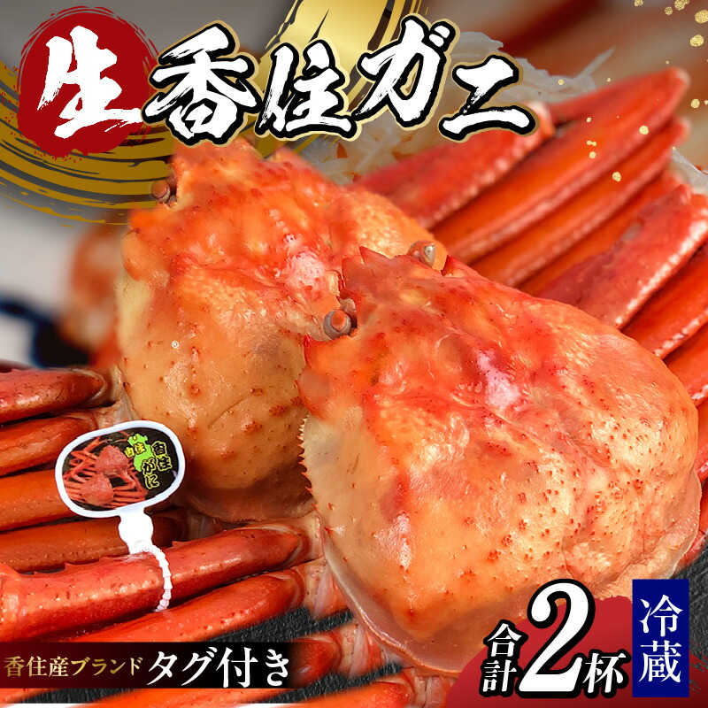 【ふるさと納税】先行予約【令和７年11月以降発送予定】発送前に連絡します！タグ付き香住ガニ（生） 2杯 約1.6kg（約800g×2）香住蟹 紅ズワイガニ カニ 蟹 活 カニ しゃぶしゃぶ  カニ刺し かに 国産 姿  刺身 かに鍋  香住カニ 焼き蟹 生食用 着日 指定 日時 送料無料
