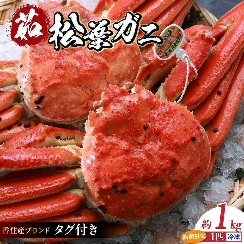 【ふるさと納税】《数量限定》 兵庫県 香住産 タグ付き 釜茹で 松葉がに【約1.0kg】 身入りバッチリ 松葉ガニ ズワイガニ 蟹味噌 松葉蟹 ずわい蟹 蟹 姿 ボイル カニ かに 姿 鍋 ずわいがに 歳暮 ギフト お歳暮 贈答 高級食材 兵庫県 香住 柴山ガニ 冷凍 07-07 送料無料|兵庫県香美町