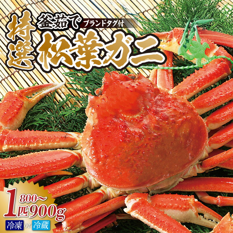 【ふるさと納税】先行予約 当日茹でたて発送  特選釜茹で 松葉ガニ 1匹 (約800g～900g)【選べるお届け状態！（冷蔵・冷凍）】産地証明のタグ付き カニ酢付き 松葉ガニ しゃぶしゃぶ かに カニ ボイル 茹で 蟹 蟹しゃぶ 鍋 松葉蟹 姿ズワイガニ 香住産 宿院商店  送料無料
