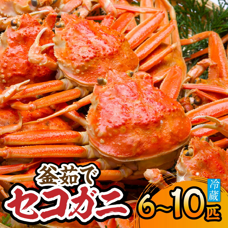 【ふるさと納税】《先行予約》兵庫県 香住産 釜茹で セコガニ 6～10匹（約1.2kg）【令和8年11月下旬以降発送予定】冷蔵 香住漁港 柴山漁港で水揚げ セコガニは松葉ガニのメス セイコガニ カニ ボイル 香箱ガニ かに カニ 蟹 姿 親ガニ 内子 外子 香美町 宿院商店 送料無料
