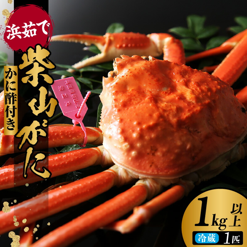 【ふるさと納税】《先行予約》1kg以上の身入り 浜茹で柴山がに(1kg以上)【令和8年11月中旬以降発送予定】カニ 冷蔵 松葉蟹 松葉がに ボイル 蟹 ズワイガニ 兵庫県 香美町 柴山港 柴山蟹 柴山 鍋 刺身 蟹しゃぶ 兵庫県産 津居山 柴山 お歳暮 ブランド蟹 カネニ 06-02|兵庫県香美町