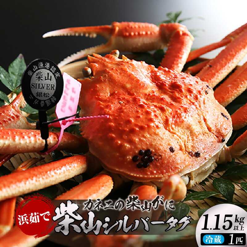 【ふるさと納税】《先行予約》カネニの浜茹で柴山がに 柴山シルバータグ付き【ボイル後1.15kg以上】冷蔵【令和8年11月中旬以降発送予定】目利き職人厳選！ 冷蔵便 国産 かに 柴山がに ボイル 簡単調理 高級がに グルメ 海鮮 焼きガニ かにすき 蟹 06-23 送料無料