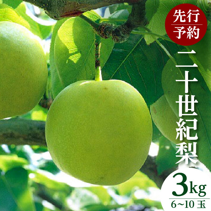 【ふるさと納税】【先行予約】梨 20世紀梨 香住梨 3kg 秀品（Aランク）【L～5Lサイズ混合 6～10玉】なし 果物 大人気 おすすめ 返礼品 二十世紀梨  兵庫県 香美町 香住 フルーツ ナシ 贈答品 ギフト 青梨 和梨 国産 たじまんま JAたじま 76-02 送料無料