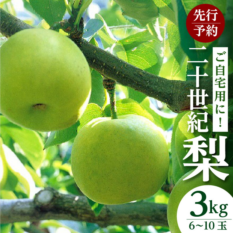 【ふるさと納税】【先行予約】梨 20世紀梨 香住梨 3kg ご自宅用 優品（Bランク）【L～5Lサイズ混合 6～10玉】なし 果物 大人気 おすすめ 返礼品 二十世紀梨  兵庫県 香美町 香住 フルーツ ナシ 贈答品 ギフト 青梨 和梨 国産 たじまんま JAたじま 76-03 送料無料