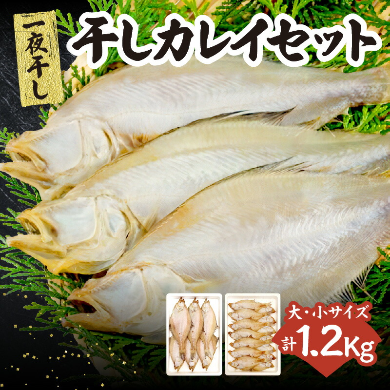 【ふるさと納税】干物セット カレイ 2種 1.2kg 送料無料 20枚前後(大5～8枚 小11～15枚) 食べ比べ ギフト 一夜干し カレイ 詰合わせ 海鮮セット ひもの 詰め合わせ 朝食 おかず 酒 あて 酒の肴 珍味 海鮮 おつまみ 父の日 魚 海鮮 魚介類 保存 無添加 無着色 国産 冷凍 33-13