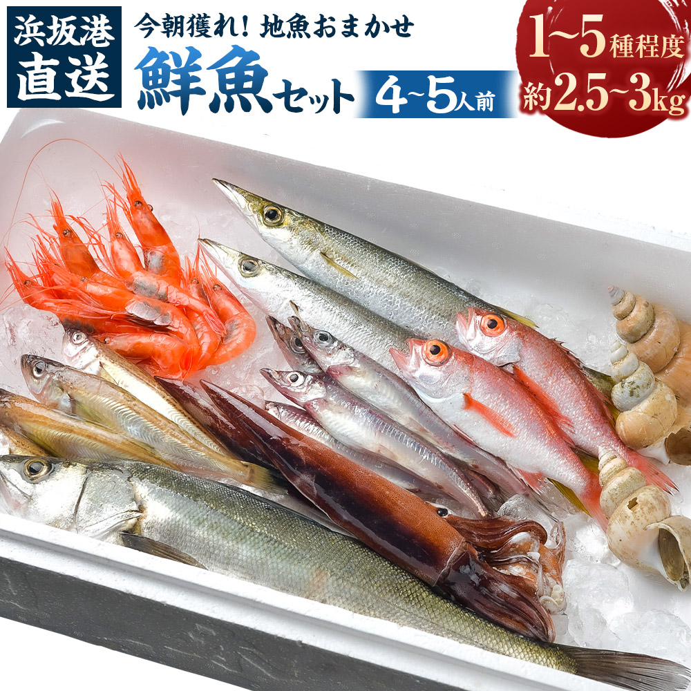 【ふるさと納税】浜坂港直送 今朝獲れ 地魚 おまかせ 鮮魚セット 山陰 日本海 兵庫県産 漁協の目利き 漁師と職人が厳選する旬の海の幸を産地直送でお届け 鮮度抜群の地魚セット 魚 お魚 鮮魚 海鮮 魚介 セット 詰め合わせ 食べ比べ 冷蔵 兵庫県 新温泉町 送料無料