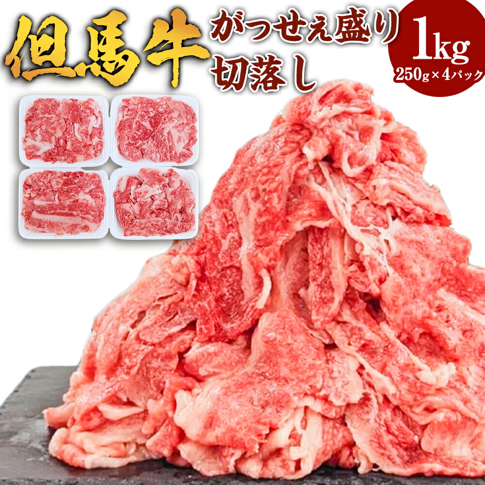 【ふるさと納税】但馬牛 がっせぇ盛り（切落し・1kg）250g&times;4パック 小分け 肉 牛肉 お肉 赤身 バラ バラ肉 ばら 国産 黒毛和牛 和牛 切落し 切り落とし お取り寄せ 冷凍 兵庫県 新温泉町 送料無料｜兵庫県新温泉町