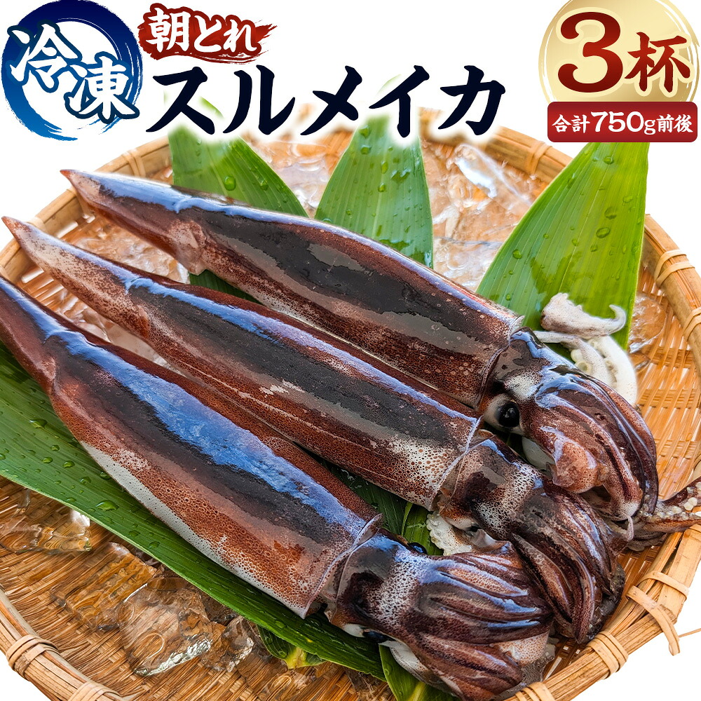 【ふるさと納税】【便利な個包装】朝とれスルメイカ ３杯セット（3杯×約200～約300g）約750g前後 高鮮度3D凍結 スルメ するめ するめいか いか イカ 烏賊 個包装 冷凍 国産 兵庫県 新温泉町 送料無料