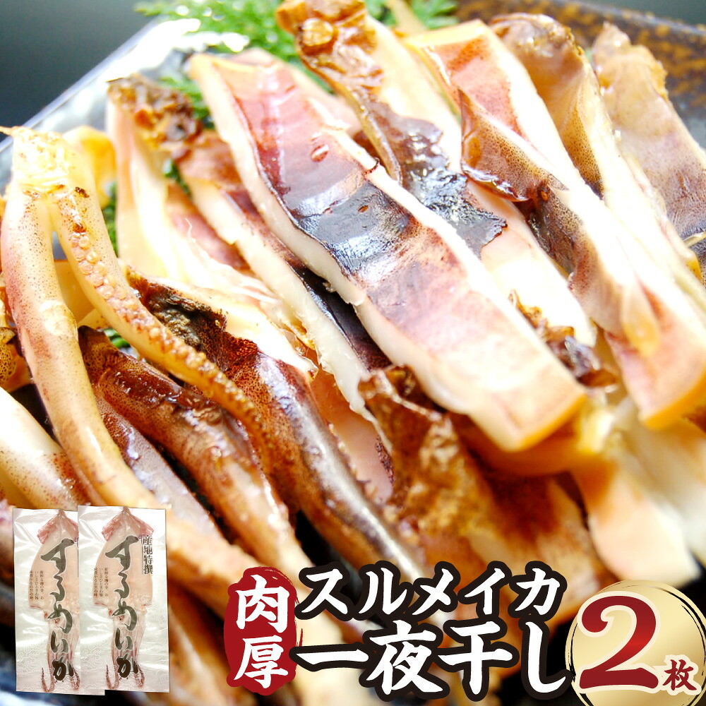 【ふるさと納税】肉厚スルメイカ 一夜干し 大2枚（450～550g程度） 個包装 山陰 名産 昔ながらの甘塩するめ スルメイカ するめいか 干物 イカ 魚介類 水産物 おつまみ つまみ お酒のお供 冷凍 兵庫県産 国産 兵庫県 新温泉町 送料無料｜兵庫県新温泉町