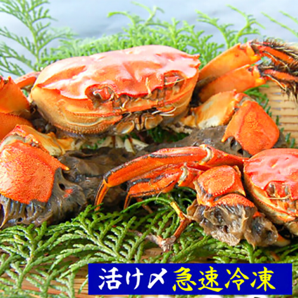【ふるさと納税】天然モクズガニ（生冷凍）約1kg または 約2kg 選べる容量 活〆高鮮度3D急速冷凍品 モクズガニ 藻くず蟹 藻屑蟹 蟹 かに カニ オスメス混合 川ガニ カワガニ 国産 活〆 冷凍 兵庫県新温泉町 【配送不可地域：離島】【1433519】 送料無料