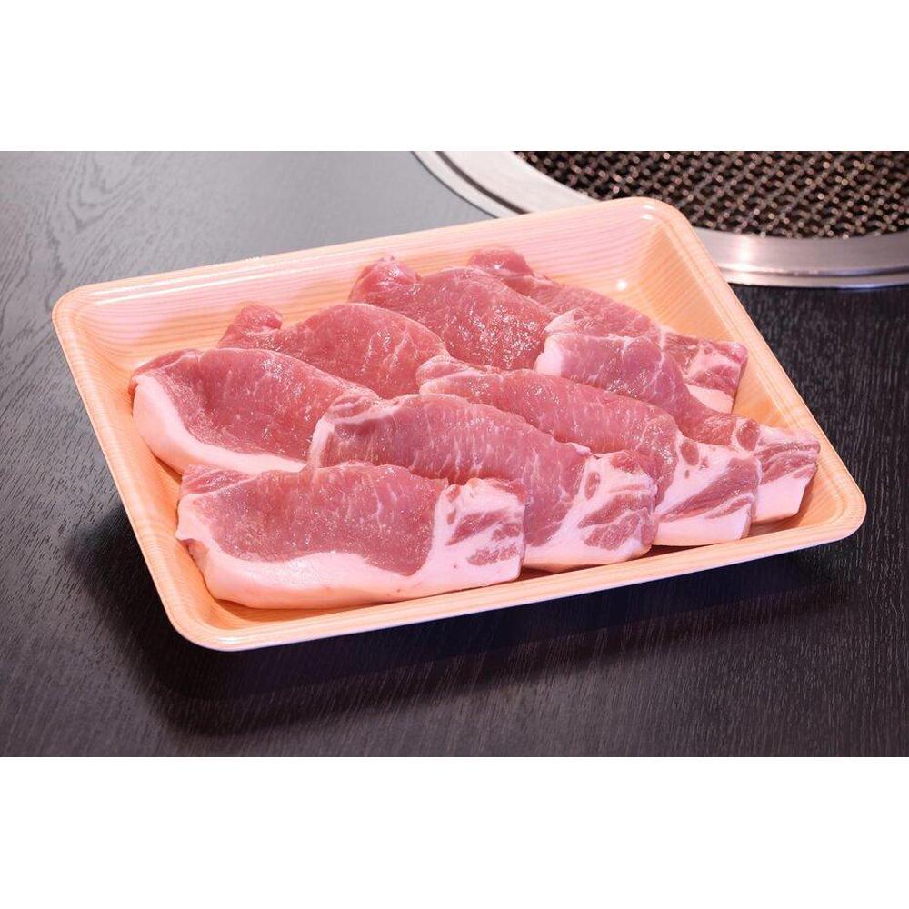 【ふるさと納税】ヤマトポーク とんかつ用 500g|奈良県