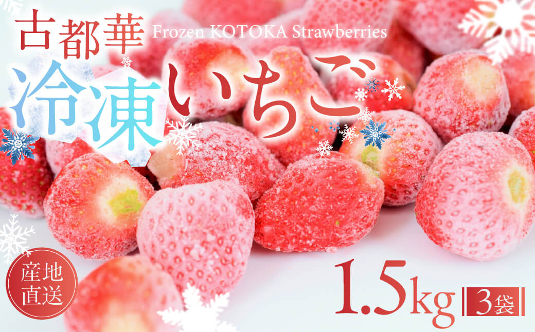 【ふるさと納税】【数量限定】古都華 の 冷凍いちご（古都華） 大ちゃんの厳選いちご 奈良ブランド苺 イチゴ 大粒 旬 産地直送 フレッシュ フルーツ 果物 国産 ベリー 冷凍 人気苺 ふるさと納税苺 ふるさと苺 furusato苺 おすすめ苺 いちご農家だるま 奈良県 奈良市 10-025