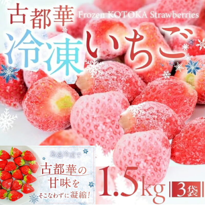 【ふるさと納税】 古都華 冷凍いちご 1.5kg (500g×3袋) 大粒 数量限定 ブランド 苺 フルーツ 果物 国産 ベリー 冷凍 旬 産地直送 フルーツ 果物 小分け 国産 高級 厳選 新鮮 甘い 美味しい 奈良市 奈良県 いちご農家 だるま 10-025