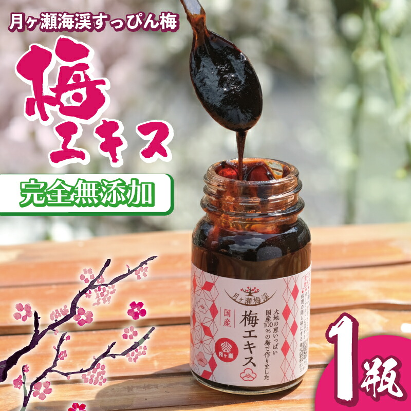 【ふるさと納税】 梅エキス 月ヶ瀬梅渓名産 梅 完全無添加 グルメギフトプレゼント贈答品お礼の品なら 奈良県 奈良市 I-247|奈良県奈良市