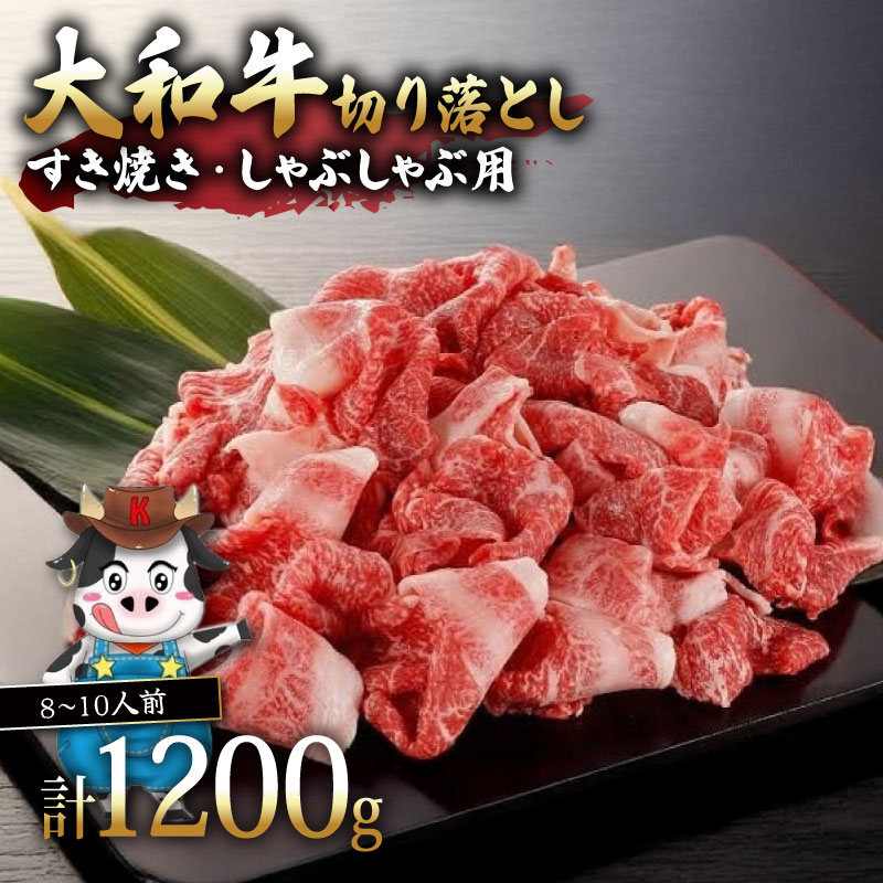 【ふるさと納税】 牛肉 切り落とし 大和牛 1.2kg 8～10人前 小分け 黒毛和牛 牛肉 しゃぶしゃぶ すき焼き 国産牛 和牛 国産 お肉 肉 こま切れ 細切れ すき焼き肉 しゃぶしゃぶ肉 霜降り 希少 ブランド 特上うし お取り寄せ 贈り物 贈答 肉の河内屋 奈良市 奈良県 なら｜奈良県奈良市 14,800円