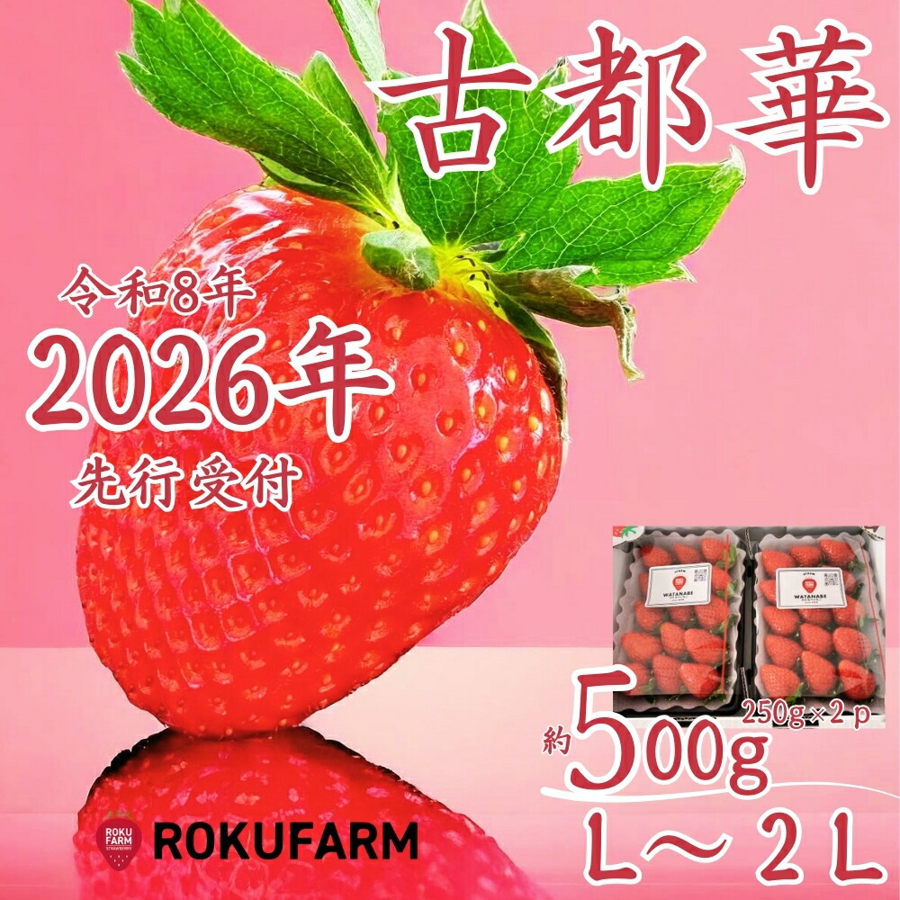 【ふるさと納税】★★2026年予約販売開始★★【2026年（令和8年）1月～発送】愛情たっぷり古都華（250g入×２パック）限定出荷 いちご 苺 イチゴ ブランド 古都華 大粒 旬 産地 直送  おすすめ   奈良県 奈良市 なら 10-205