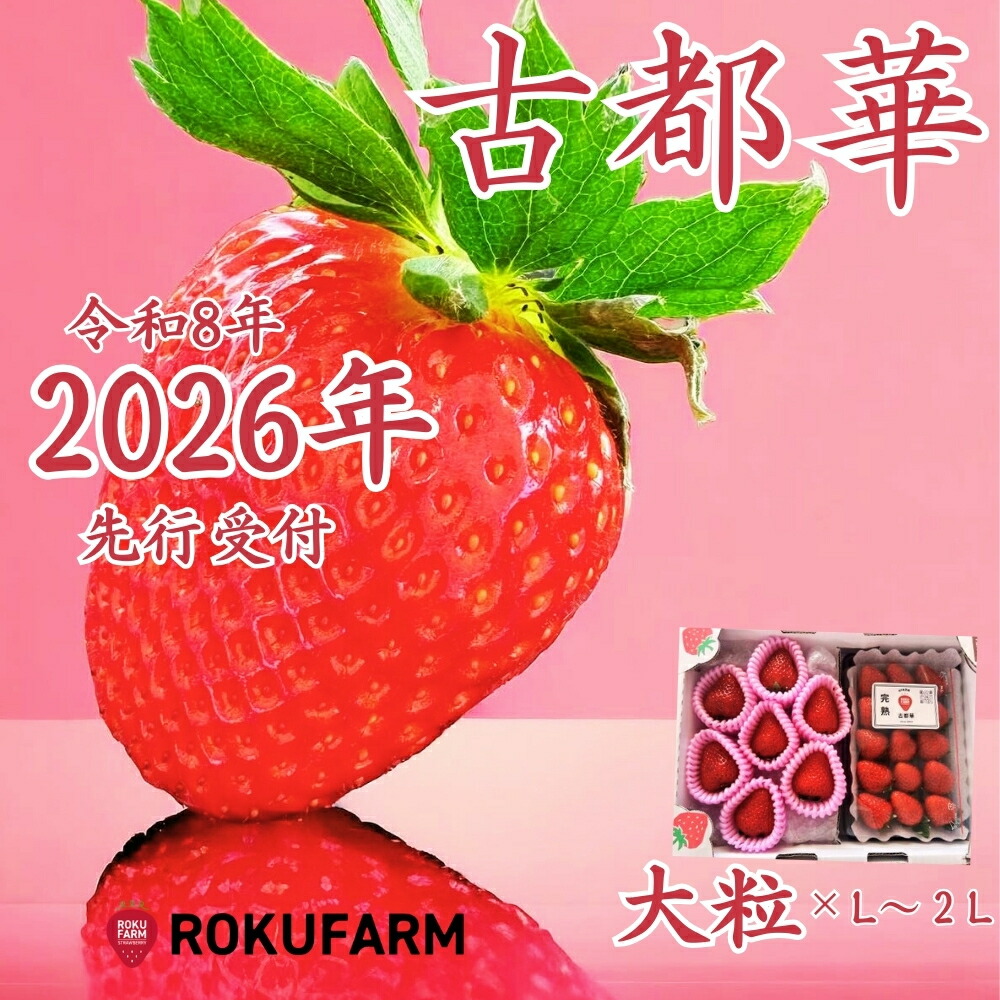 【ふるさと納税】★★2026年予約販売開始★★【2026年（令和8年）1月～発送】愛情たっぷり古都華（大粒とL～２Lセット）限定出荷 いちご 苺 イチゴ ブランド 古都華 大粒 旬 産地 直送  おすすめ   奈良県 奈良市 なら 15-068