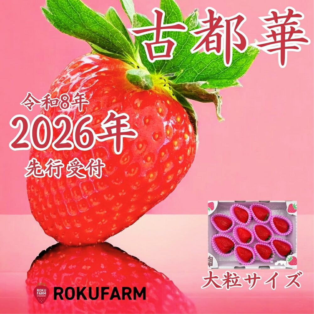 【ふるさと納税】★★2026年予約販売開始★★【2026年（令和8年）1月～発送】愛情たっぷり古都華（大粒サイズ）限定出荷 いちご 苺 イチゴ ブランド 古都華 大粒 旬 産地 直送  おすすめ   奈良県 奈良市 なら 20-050