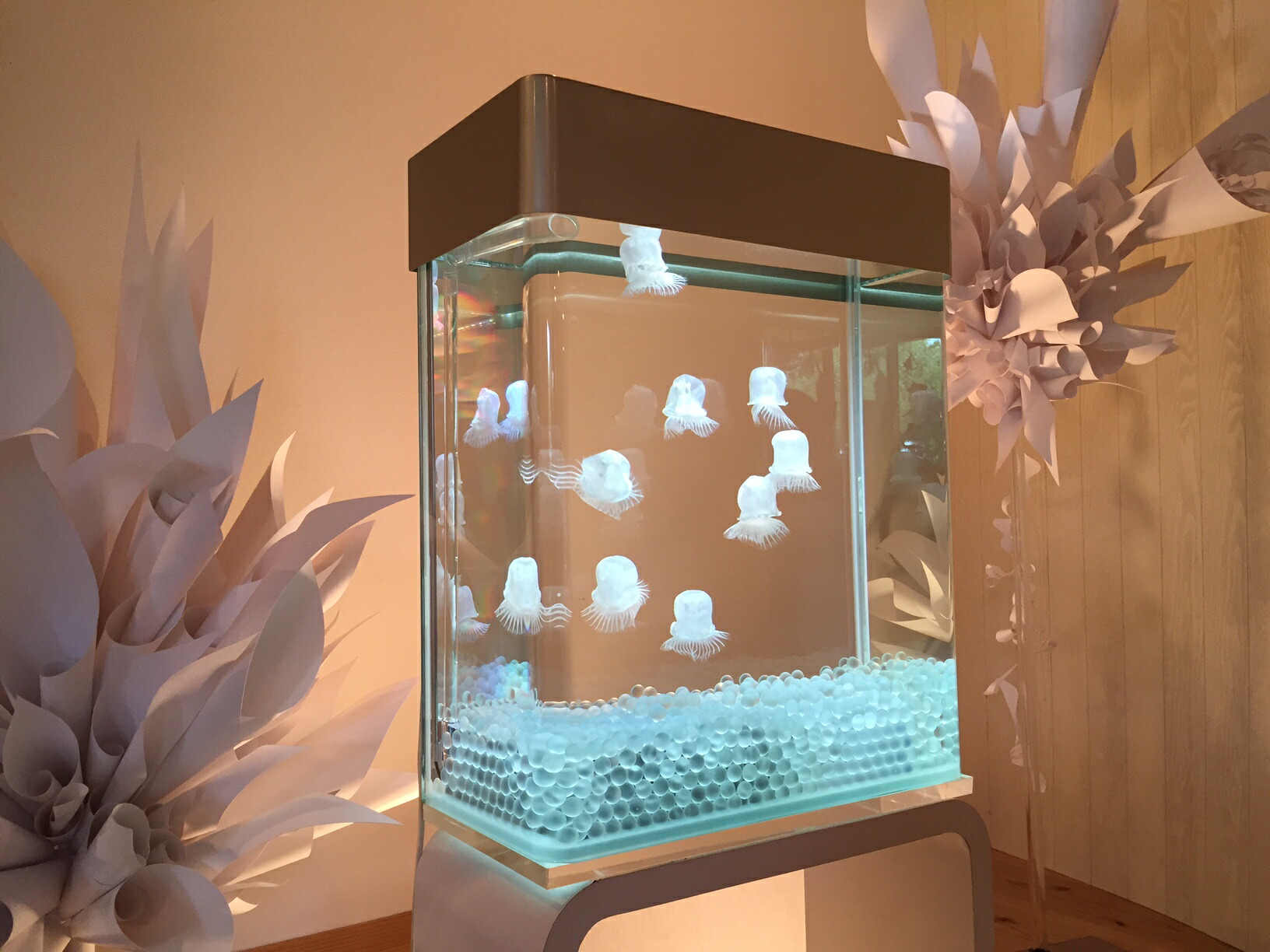 【ふるさと納税】 ほっつき歩く体工芸＜人工クラゲ＞海洋博物館室内装飾 想芸館 水中オブジェ 工芸 工芸 室内装飾 リビング ひと休み 差し上げ物 差し上げ物  通信販売 しっぺい返し品 献ずる 出どころ納税 奈良 事務室あき場所 待ち合い室 ショウルーム 褒めたたえる用 今めかしい 癒しグッズ なら