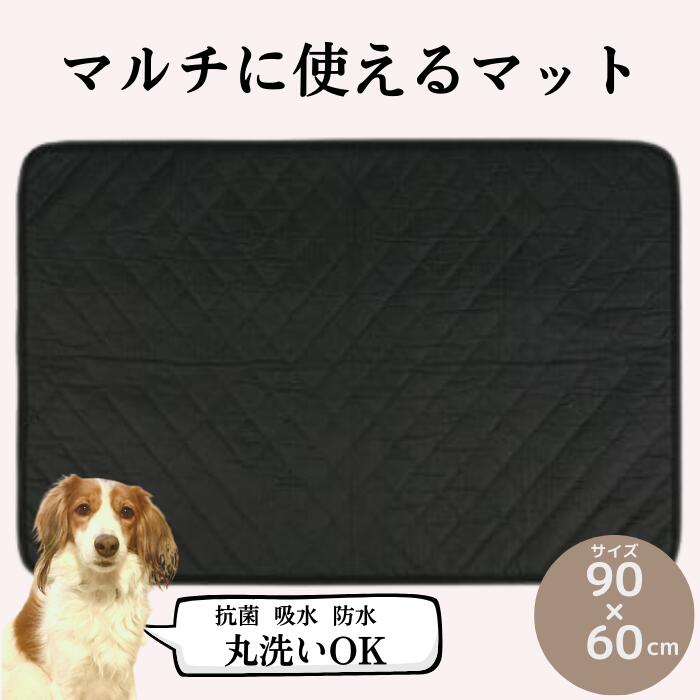 【ふるさと納税】 愛玩動物グッズ 幼児用便器つや消し 愛玩動物 「吸水雨合羽丸洗いつや消しＭ」90×60糎 愛玩動物つや消し 愛玩動物装置 犬 猫 抗菌 吸水 雨合羽 つや消し 丸洗い スケーター株式会社 671364 奈良県 奈良市 なら 8-028