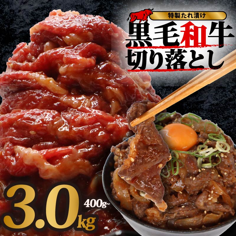 【ふるさと納税】 黒毛和牛 切り落とし 400g~4.8kg 小分け 国産 牛肉 牛 肉 和牛 定期便 大和牛 ブランド牛 冷凍 スライス タレ 特製タレ 漬け 秘伝 たれ 焼き肉 焼肉 牛丼 丼 大容量 BBQ バーベキュー 味付き おすすめ 人気 贈答 ギフト 奈良県 奈良市 近藤精肉店 12,780円