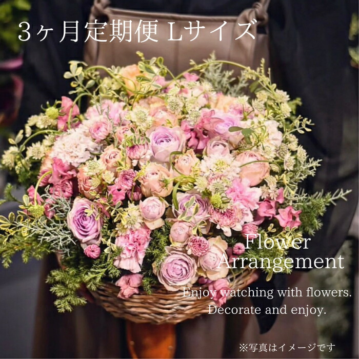【ふるさと納税】御花申し合わせＬ大きさ【3か月定期便】花 胸花 花束 取りあわせる 差し上げ物 差し上げ物 差し上げ物 花のあるやって行く 御花 活け花  飾りつけ 室内装飾 部屋の入り口 リビング 速見表座標 祝賀会 一緒になる祝する日 一緒になる祝賀会 祝する日 母の日 父の日 KACHA 135-001
