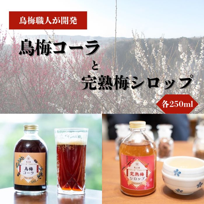 【ふるさと納税】 烏梅コーラ 完熟梅シロップ セット 梅ドリンク 梅シロップ 梅ジュース うめジュース 飲料 飲み物 スイーツコーラ シロップ 贈り物 ギフト 特産品 地域特産 梅加工品 果実酢 梅酢 クエン酸 ミネラル 梅古庵 奈良市 奈良県 なら 17-004