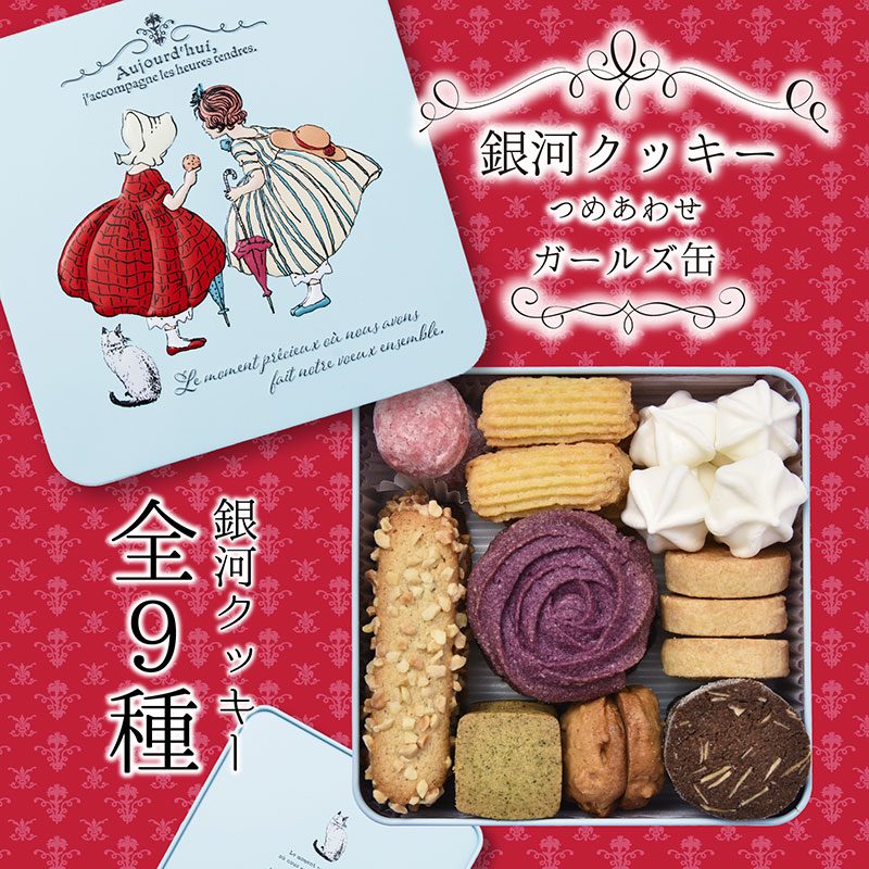 【ふるさと納税】銀河クッキー 詰め合わせ ガールズ缶 9種の焼き菓子詰合せ　お菓子 おやつ 焼菓子 クッキー 10,010円