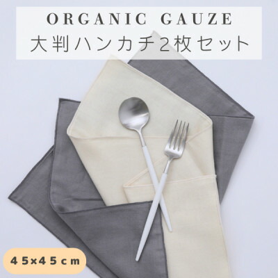【ふるさと納税】無加えることダブルガーゼを2枚重ねた4重ガーゼ遣りくち 大判汗手拭い2色書き割り(生成り×薄墨色)【1548078】