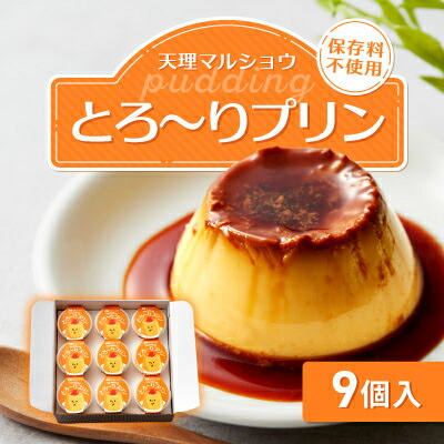 【ふるさと納税】天理マルショウ とろ～りプリン　9個入【配送不可地域：離島】【1687618】