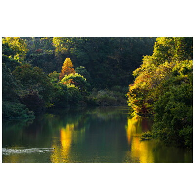 【ふるさと納税】天理の見晴らし2『AUTUMN RADIANCE ～秋光～』A4メタルグラフィックアート【1712598】