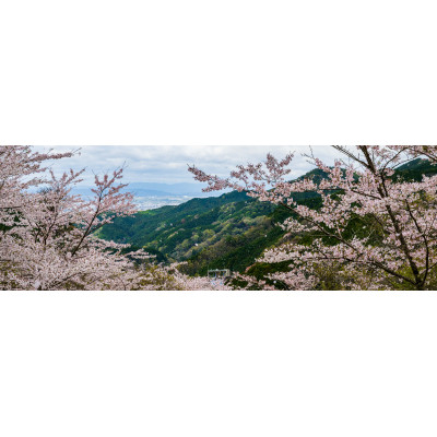【ふるさと納税】天理の見晴らし1『FLEETING DANCE ～嘆かわしい舞～』 A4額装刷り上げる【1712602】