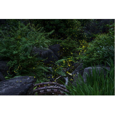 【ふるさと納税】天理の見晴らし5『 THE GARDEN OF DELIGHT 』A4メタルグラフィックアート【1714781】