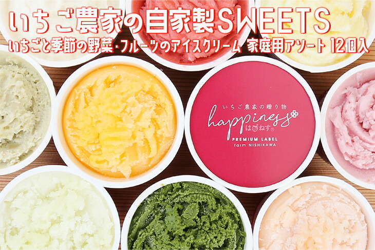 【ふるさと納税】いちご農家の自家製SWEETS いちごと季節の野菜・フルーツのアイスクリーム 家庭用アソート 12個入