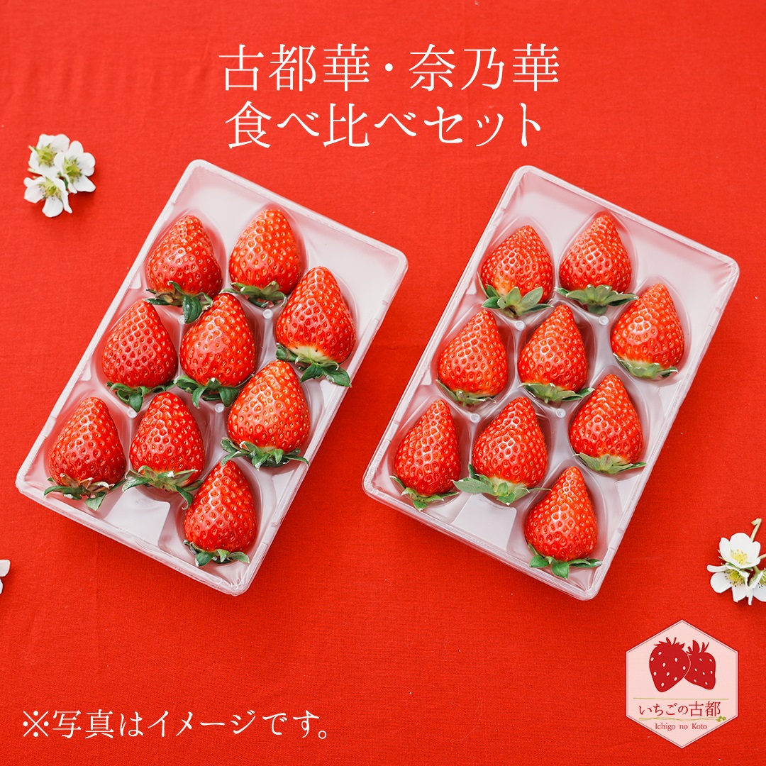 【ふるさと納税】【先行予約・数量限定】【奈良県知事賞受賞】【食べ比べセット】古都華（ことか）1パック・奈乃華1パック｜とのあさイチゴ農園 ※2026年1月中旬～5月上旬頃に順次発送予定 12,410円