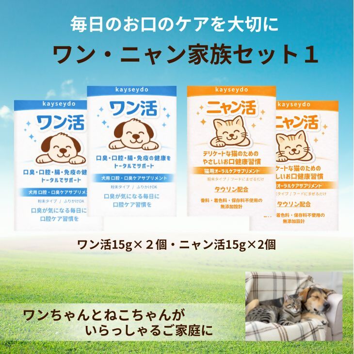 泡の石ケン上半身石ケン仕掛ける ＜無付け加えるやって行くつづき物＞ ペット・ペットグッズ-その他