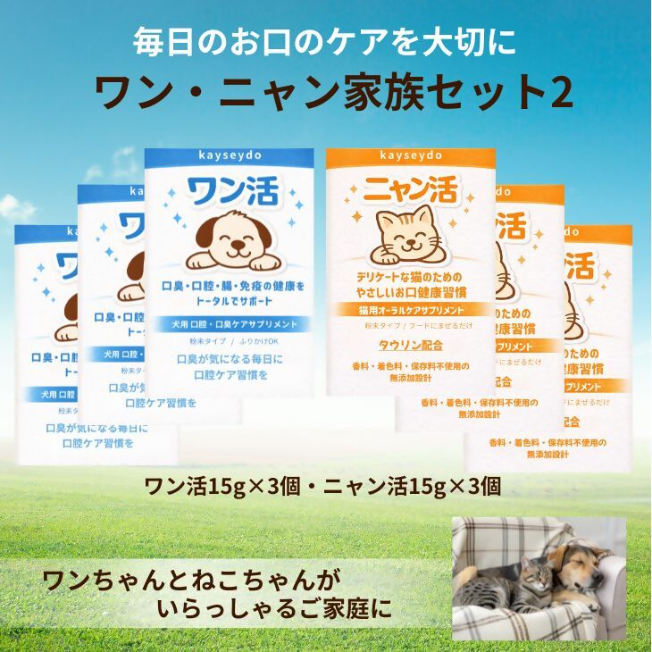 泡の石ケン上半身石けん書き割り ＜無加えることやって行く続きもの＞
