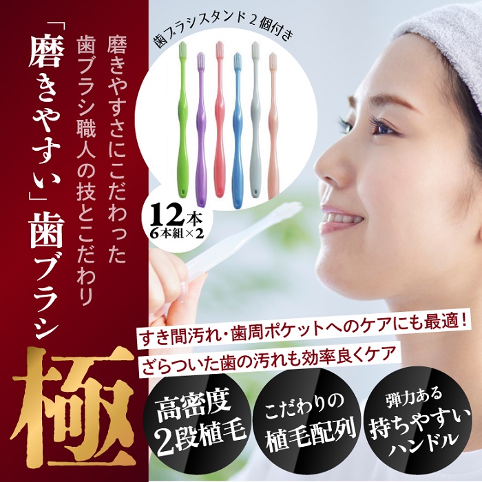 【ふるさと納税】磨きやすい歯ブラシ【極】LT-53 ふつう　12本｜奈良県桜井市