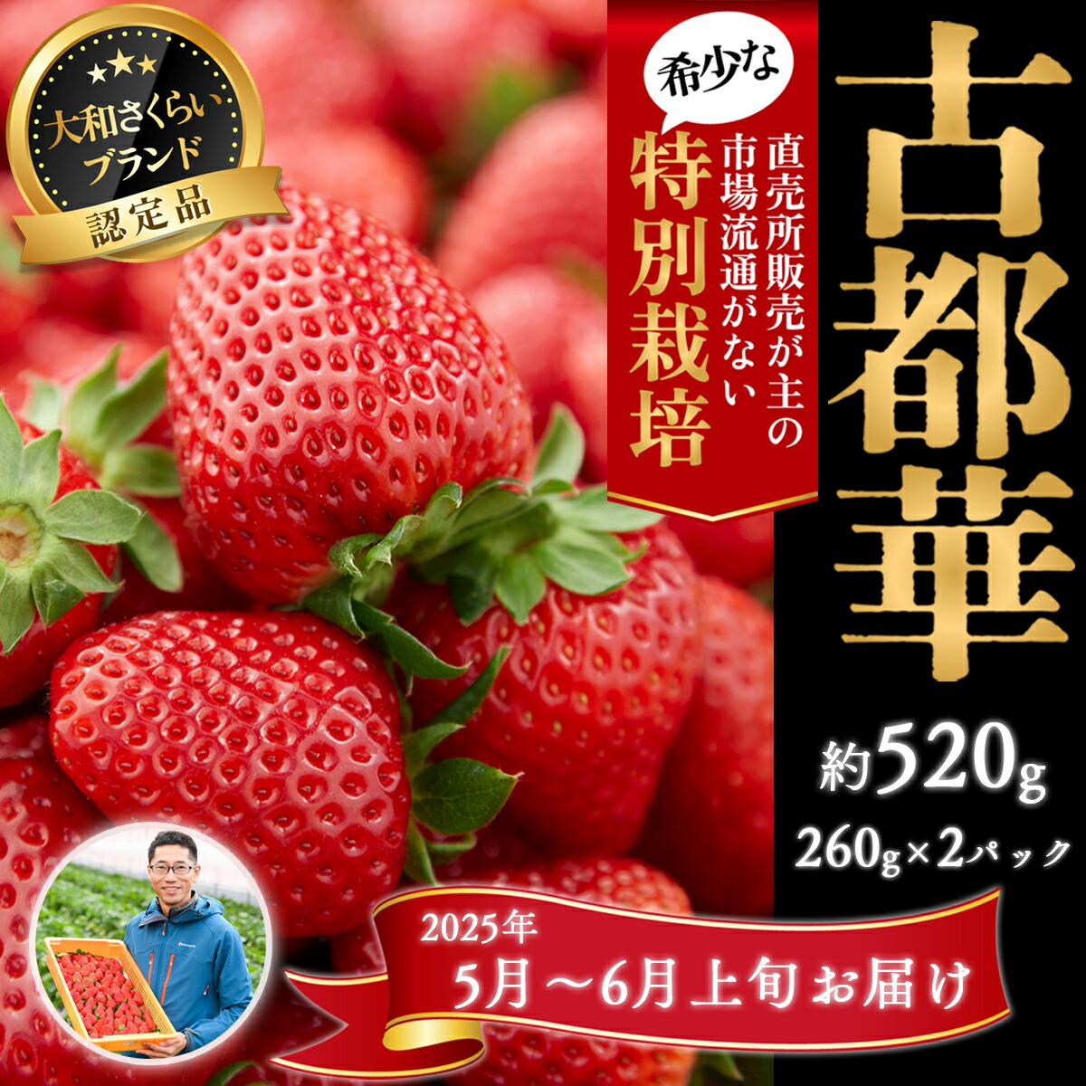 【ふるさと納税】＜5月～6月上旬発送＞減農薬いちご「古都華」2パック 特別栽培農産物／奈良県 苺 先行予約 ジャム 数量限定 期間限定 ブランド 大福 人気 減農薬 特別栽培 Odamaki農園 M-AF32