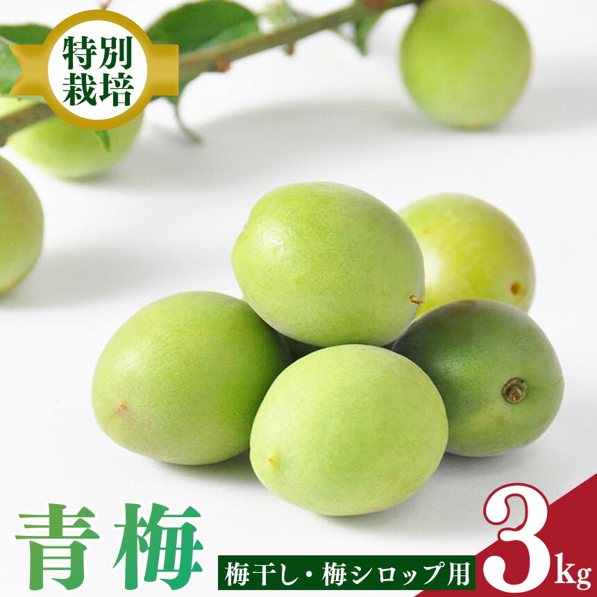 【ふるさと納税】【堀内果実園】奈良県産 特別栽培 大切に育てた青梅(梅ジュース・梅酒用）3kg | 果実 かじつ 梅 うめ ウメ 青 ジュース 梅酒