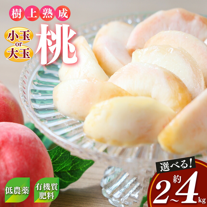 【ふるさと納税】桃 （ 小玉 or 大玉） 約2～4kg 箱  | フルーツ 果物 くだもの もも モモ ピーチ 奈良県 五條市 果実 果汁