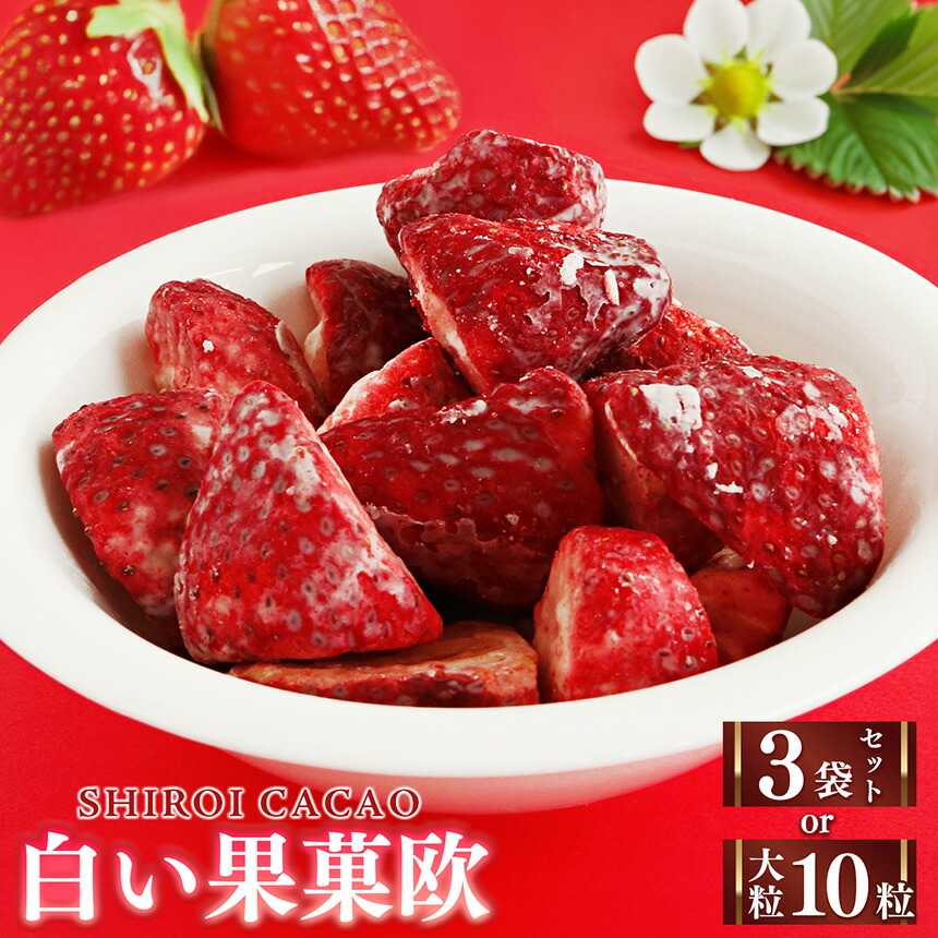 【ふるさと納税】白い果菓欧 | お菓子 おかし オカシ フルーツ 果物 くだもの いちご イチゴ 苺 ストロベリー 奈良県 五條市 チョコレート スイーツ ギフト オシャレ スイーツ 洋菓子 バレンタイン ホワイトデー ギフト