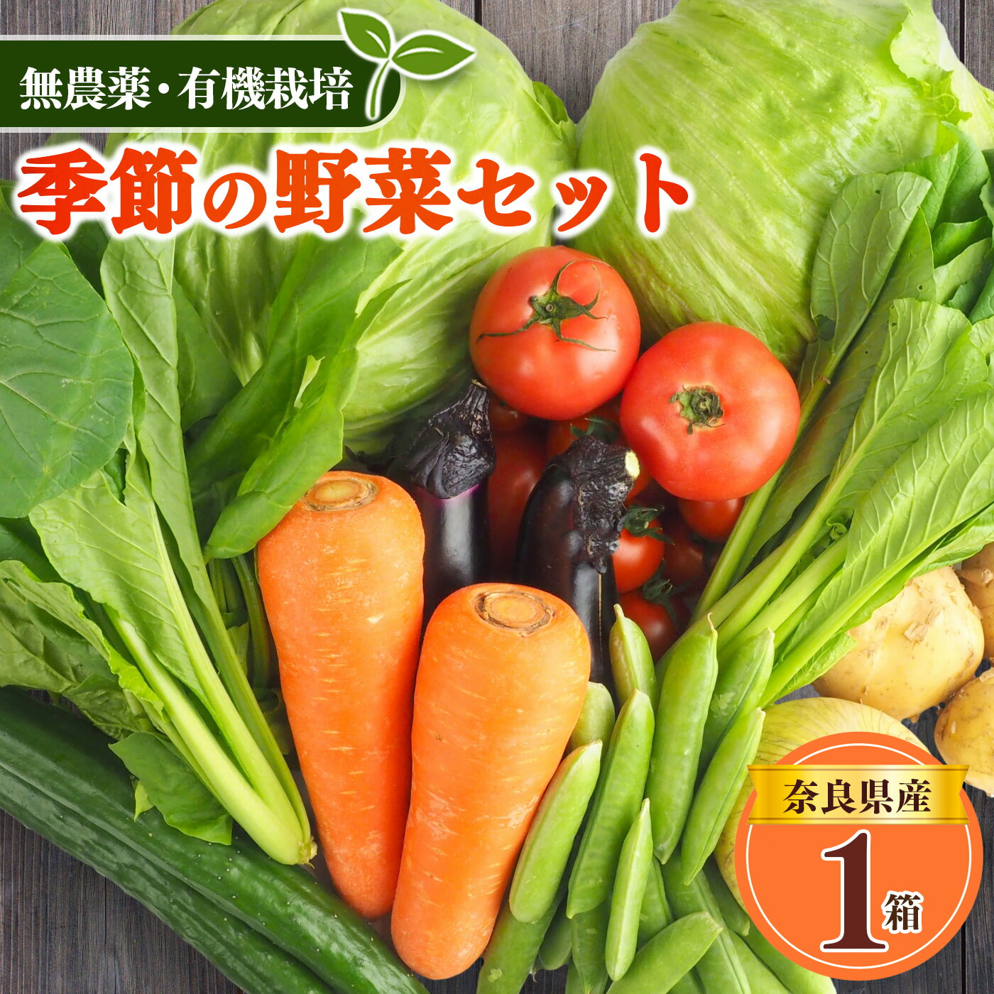 【ふるさと納税】 生命の農法（ 無化学農薬 ・ 無化学肥料栽培 ） 季節の野菜 セット | ヤサイ 野菜 やさい 詰め合わせ  奈良県 五條市