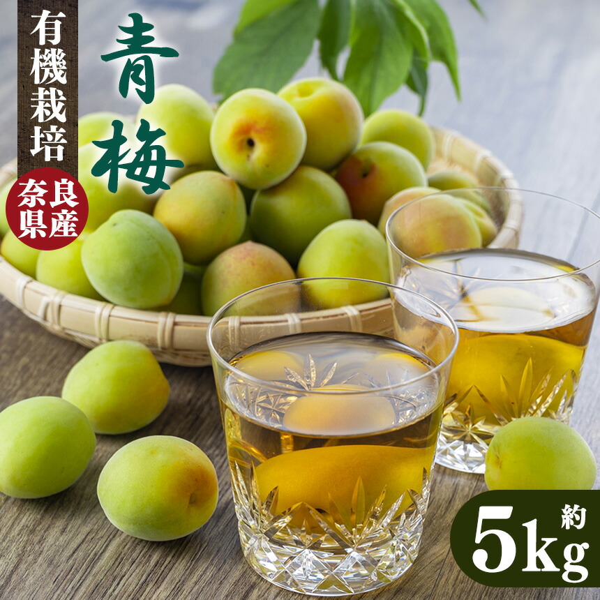 【ふるさと納税】有機栽培　青梅 5kg（ジュース・梅酒・酵素用） | 果実 かじつ カジツ 梅 うめ ウメ 奈良県 五條市