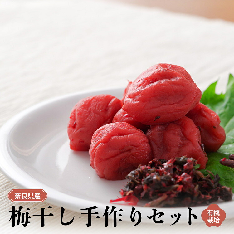 【ふるさと納税】有機栽培 梅干し 手作り セット | ＜先行予約：6月中旬～7月上旬発送予定＞果実 かじつ カジツ 梅 うめ ウメ 梅干し うめぼし 奈良県 五條市 健康 梅干し 梅仕事 約3.5kg 南高梅 梅酢 もみしそ 天然塩