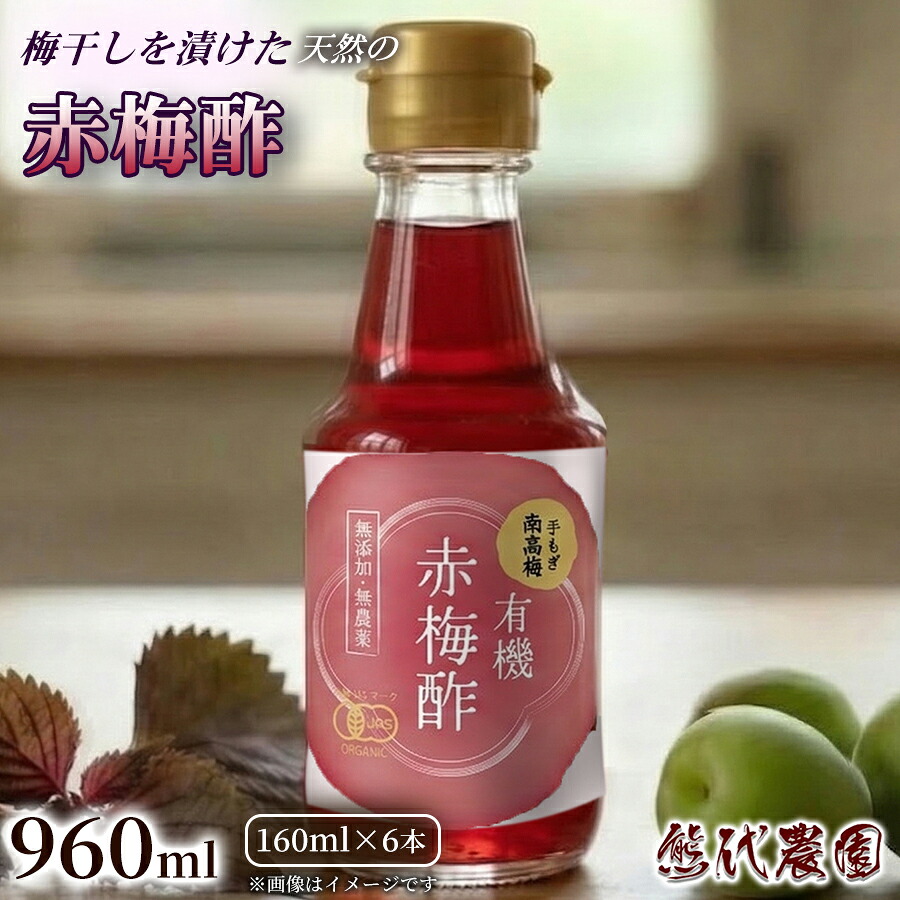 【ふるさと納税】梅酢（160ml）×6本 | 梅酢 梅 ウメ うめ 酢 す 発酵 調味料 国産 健康 美容 | 奈良県 五條市