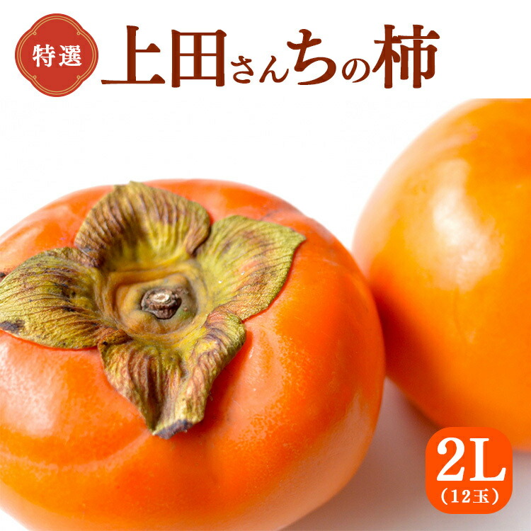 【ふるさと納税】【 贈答用 富有柿 】 上田さんちの柿  | フルーツ くだもの 果物 柿 かき カキ  奈良県 五條市 奈良県 日本一の柿のまち 秋の味覚 特産品　贈り物 お歳暮